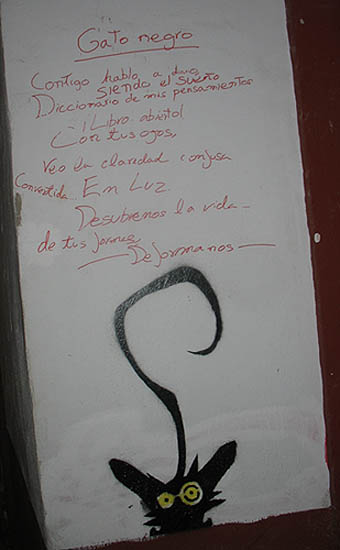 El poema - gato negro